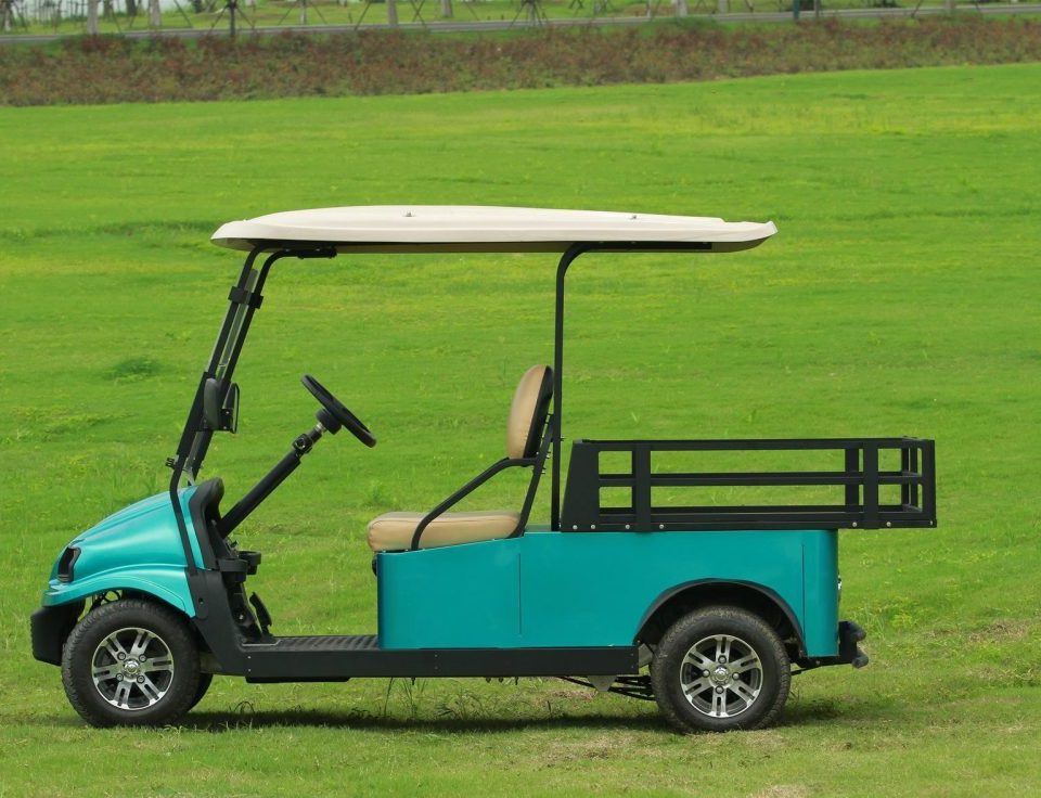 Lithium Batteries Driving Unmatched Performance for Electric Carts